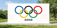 合作伙伴奥运会五环标志 - 奥林匹克经典蓝黄黑绿红五环标志